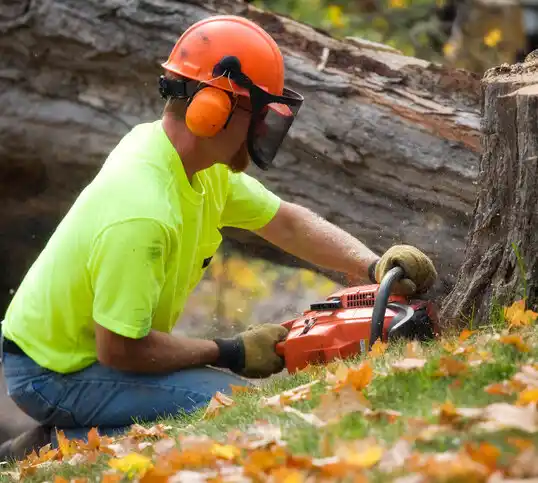 tree services Lynchburg